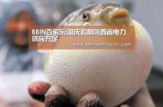 BBIN百家乐|国庆假期陕西省电力供应充足(图1) BBIN百家乐