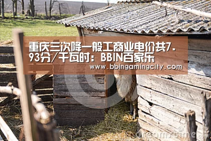 重庆三次降一般工商业电价共7.93分/千瓦时:BBIN百家乐(图2) BBIN赛事