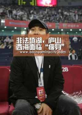 BBIN下载