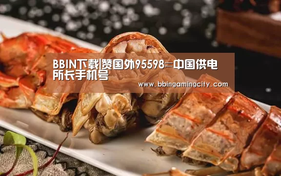 BBIN下载|赞国外95598=中国供电所长手机号(图3) BBIN赛事