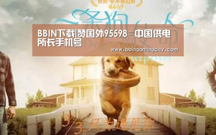 BBIN下载|赞国外95598=中国供电所长手机号(图4) BBIN赛事