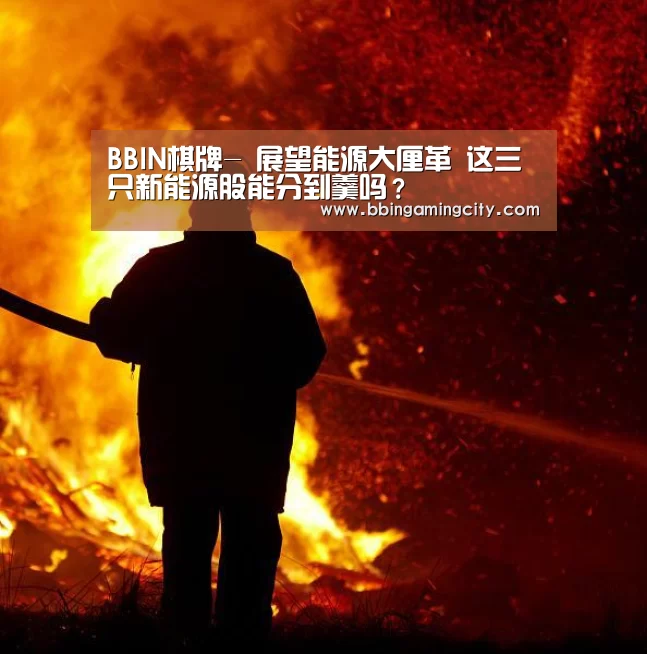 BBIN棋牌-
展望能源大厘革 这三只新能源股能分到羹吗?(图1) BBIN赛事