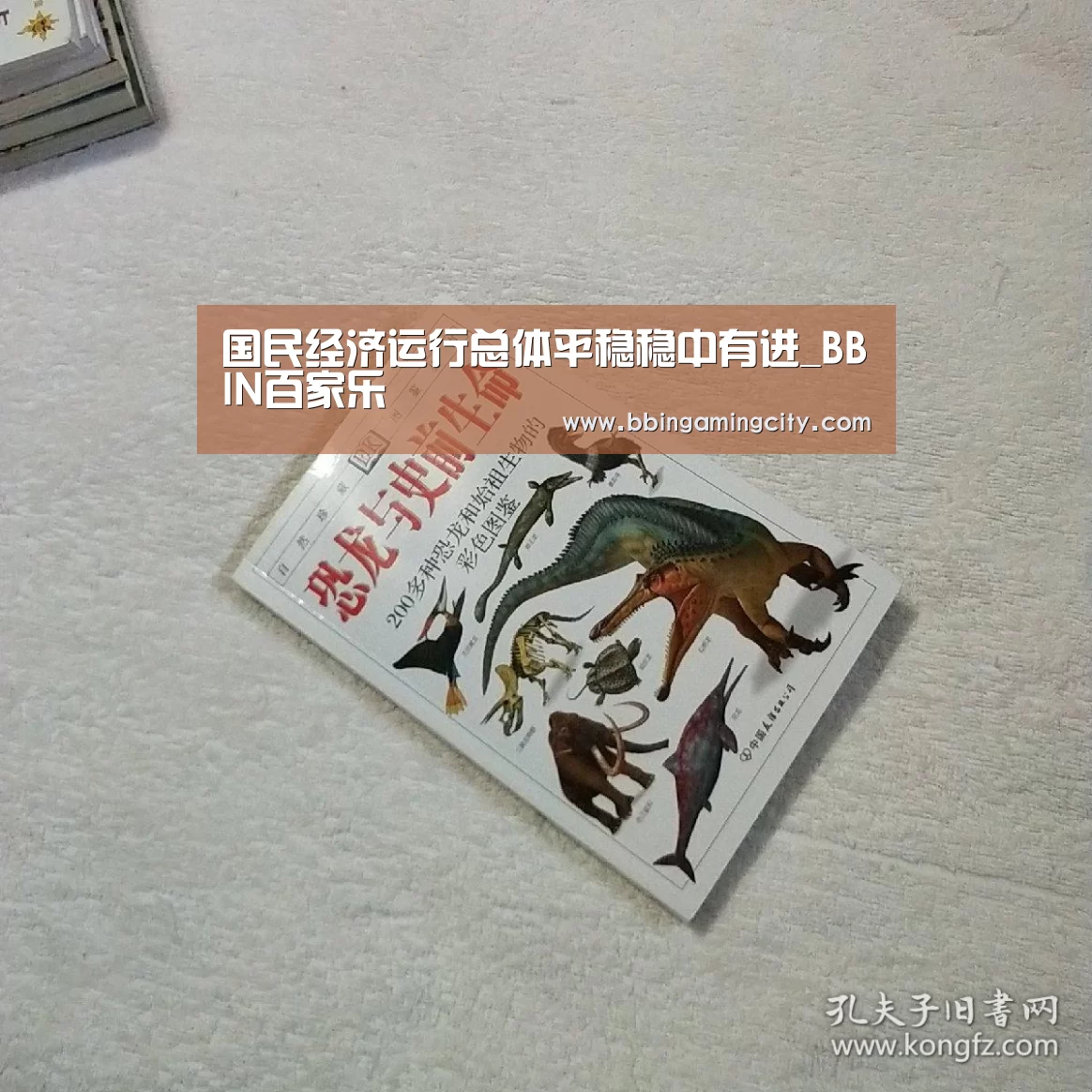 BBIN棋牌
